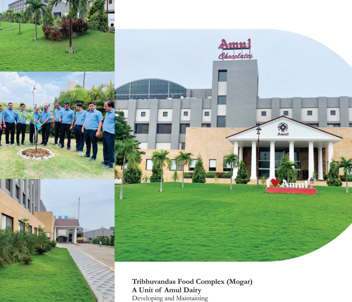 Institutional campus landscape
